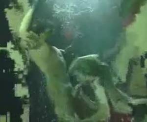 Sorprendete follada submarina Es fascinante esta follada bajo el agua y qué buenos pulmones para poder aguantar tanto. Con eyaculación submarina final.