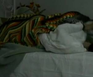 This horny girl certainly knows how to she her sleeping boyfriend awake. she crawls out of bed to get the webcam to turn on, crawl back in bed and the blanfuck up. she takes his flaccid member in her mouth and starts him stiffening blowjob. he word good