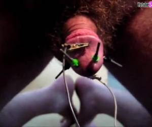 Se clava 4 electrodos aguja en el capullo de su polla semi erecta, perforando y aguijoneando la sensible carne, para luego enchufarlo a una batería y freírse la verga a calambrazos hasta correrse como un loco. Video bizarro de la polla de un pajillero q